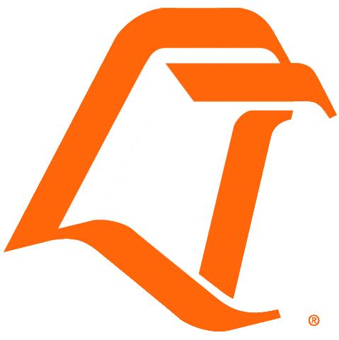 Bowling Green Falcons 1980-2005 Primary Logo iron on paper